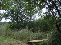 Coed Cors - SOLD photo 2