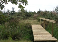 Coed Cors - SOLD photo 6