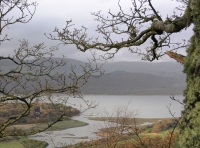 Coed Cwarrau - Quarry Wood - SOLD