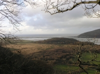 Coed Cwarrau - Quarry Wood - SOLD photo 5
