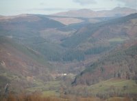 Coed Derwas - Derwas Wood - SOLD