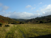 Coed Fron Ddu photo 2