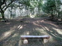 Large level clearing with benches.