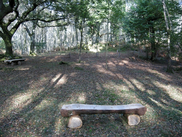 Coed Gelli Isaf