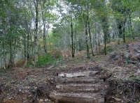 Steps leading from access track into Coed Gelli Isaf.