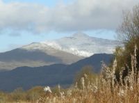 Coed Glaslyn - SOLD