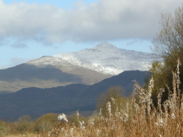 Coed Glaslyn - SOLD