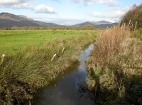 Coed Glaslyn - SOLD
