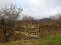 Coed Glaslyn - SOLD