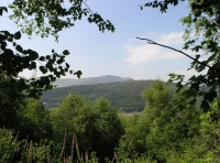 Coed Glyndwr - Glyndwr Wood - SOLD