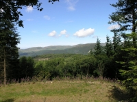 Coed Glyndwr - Glyndwr Wood - SOLD photo 2