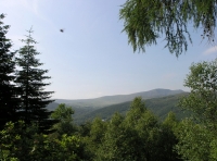 Coed Glyndwr - Glyndwr Wood - SOLD photo 4
