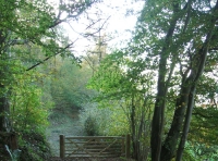 Coed Hafod