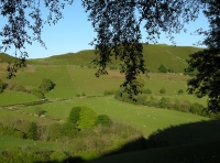 Views from the north corner of the woodland