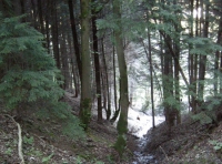 A small stream forms the southern boundary