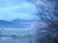Coed Idris - Idris Wood