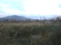 Coed Morfa - SOLD
