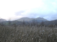 Coed Morfa - SOLD
