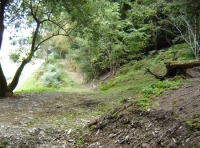 Coed Morfydd - SOLD
