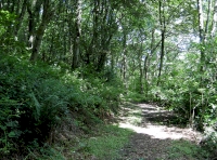 Track up to east edge of the land
