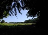 Coed Nant Glas - Green Valley Wood - SOLD photo 4