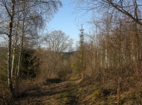 Coed Newydd photo 6