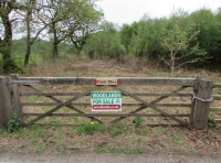 Coed Obry - Obry Wood - SOLD