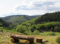 Coed Perthog - Perthog Wood - SOLD