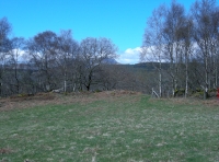 Coed Rhedyn - SOLD