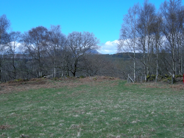 Coed Rhedyn - SOLD