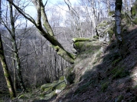 Steep rocky areas near northern end of the land