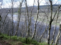 Views down towards the river and road from north edge of the land.
