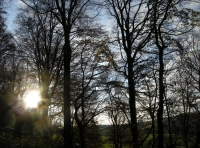 Coed Rhyd - SOLD