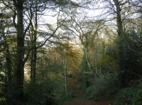 Coed Rhyd - SOLD photo 4