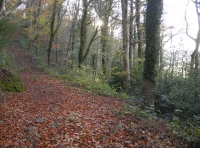 Coed Rhyd - SOLD photo 6