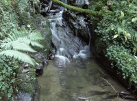 small waterfall