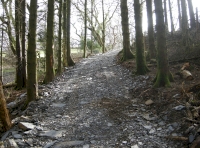 Coed Tal - High Wood - SOLD