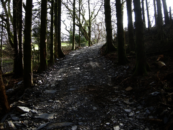 Coed Tal - High Wood - SOLD