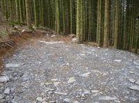 Parking and turning area for the woodland.