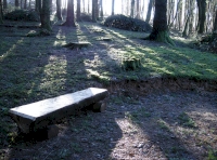Bench within the level clearing