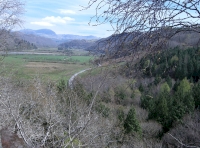Coed Trum