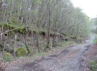 Begining of access track with Coed Trum to the left of the track
