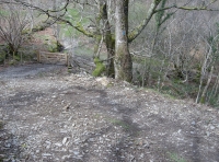 Final section of the access track to the wood