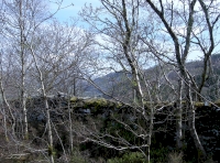 High stone wall along the eastern boundary