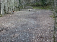 Large level clearing
