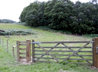 well fenced field at southern end of the woodland