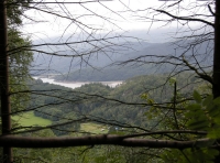 Coed Uchaf - Upper Wood - SOLD