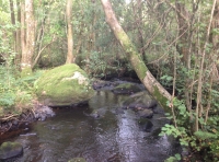 Coed Y Cegin - Cegin Wood - SOLD
