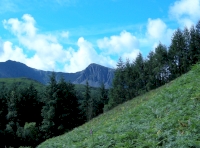 The north boundary with Cadair Idris in the background