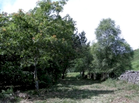 Level grassy areas by the north-west corner